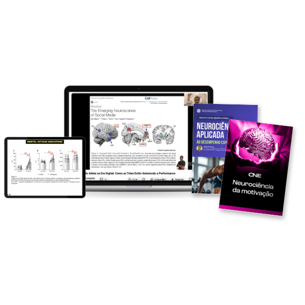 Prévia dos materiais e da aula sobre telas, decisão e desempenho no esporte